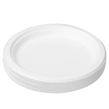 Lemon & Lime Disposable Dinner Plate 23cm 30 pk