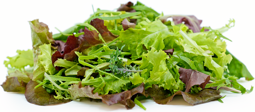 Mesclun Leaves 120g